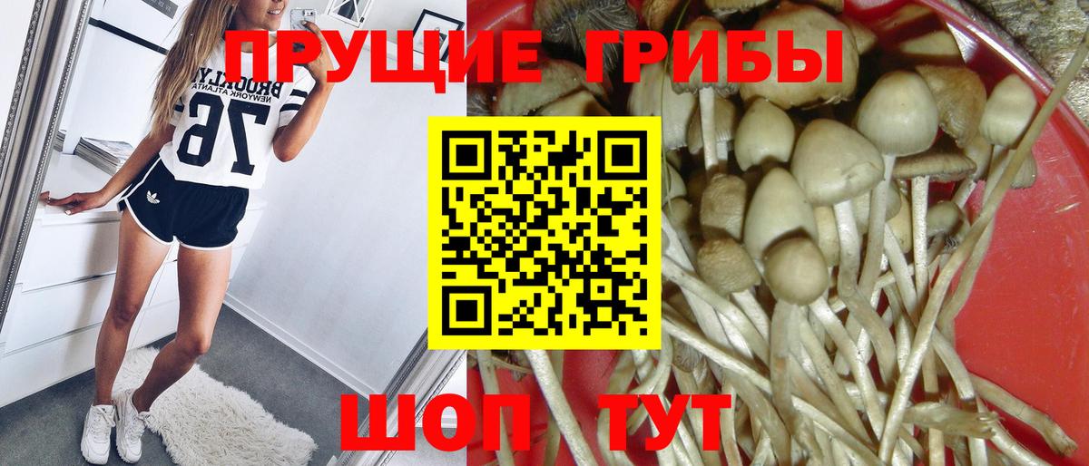 Псилоцибиновые грибы GOLDEN TEACHER  Псилоцибиновые грибы ЛСД  наркота  Вход с VPN  Анжеро-Судженск 