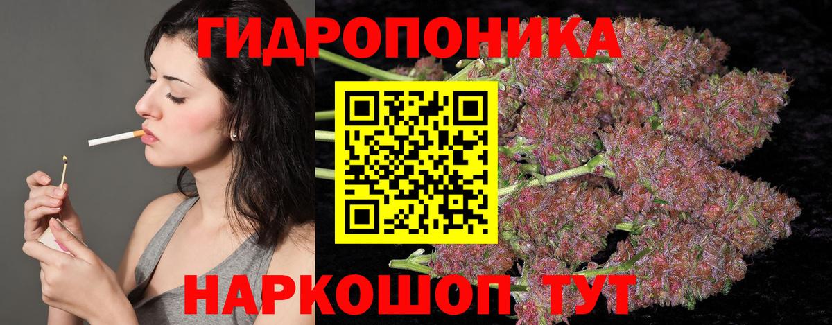 Каннабис индика  Шишки марихуана Bruce Banner  Вход с VPN  Анжеро-Судженск 
